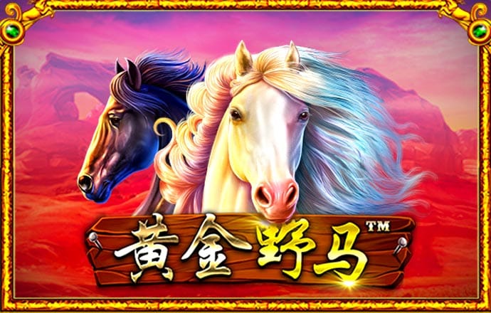大白加拿大28预测-在线预测