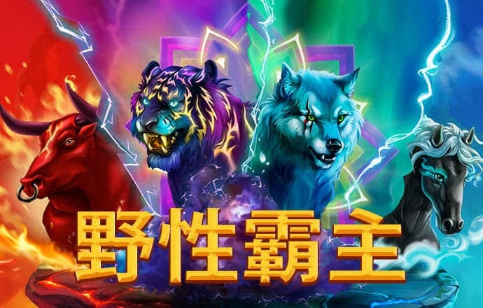 17图库正版资料大全