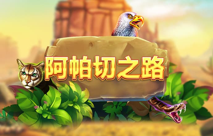 雪球预测专注28预测下载 最新版